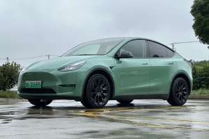 Model Y 特斯拉 改款 标准续航后驱升级版