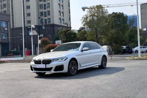 寶馬5系 寶馬 530Li 領(lǐng)先型 M運動套裝
