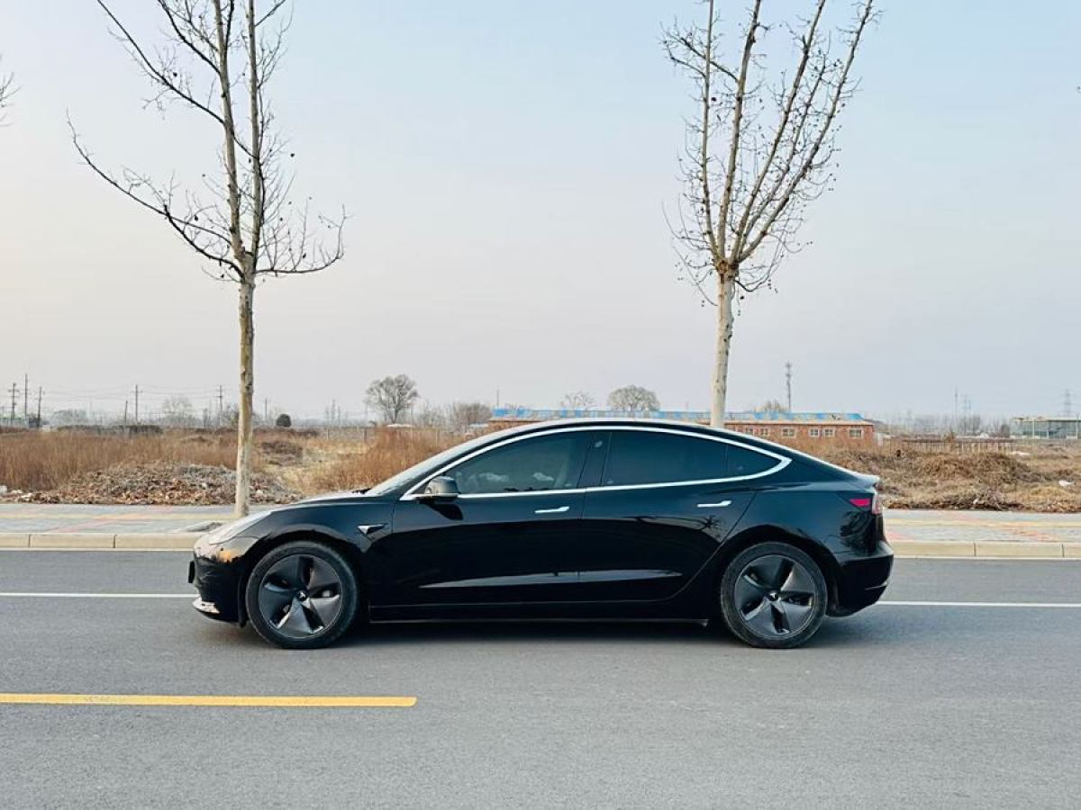 特斯拉 Model 3  2020款 改款 標準續(xù)航后驅升級版圖片