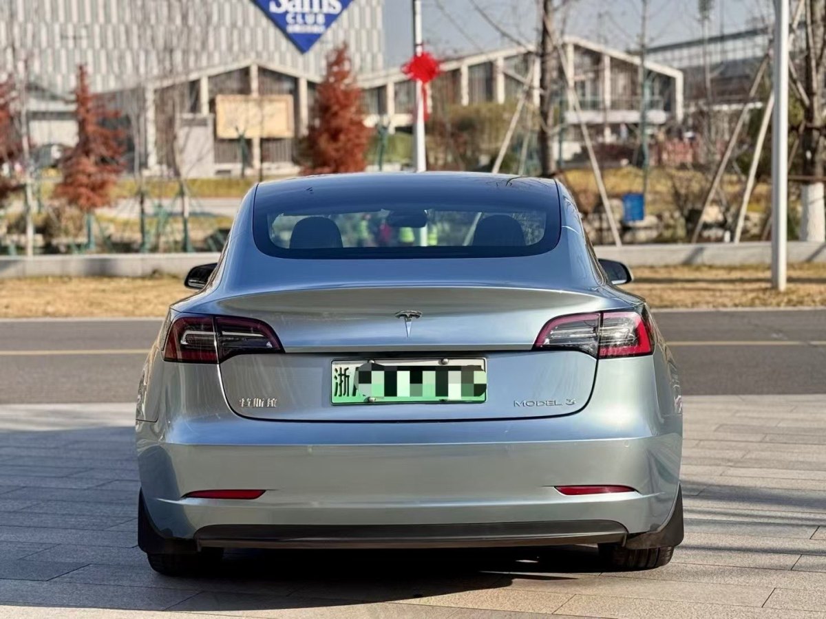 特斯拉 Model 3  2020款 改款 標(biāo)準(zhǔn)續(xù)航后驅(qū)升級(jí)版圖片