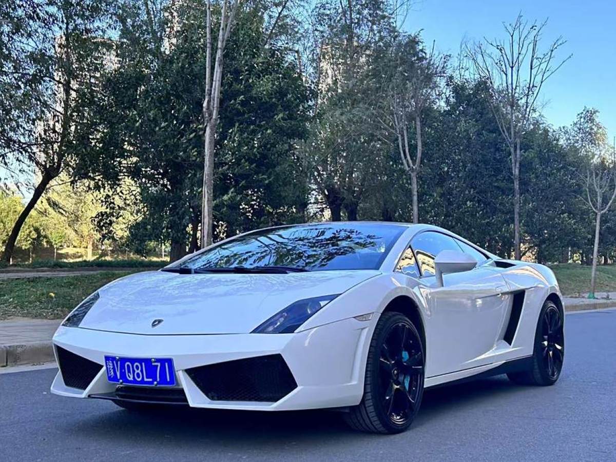 蘭博基尼 Gallardo  2011款 LP 550-2 Tricolore圖片