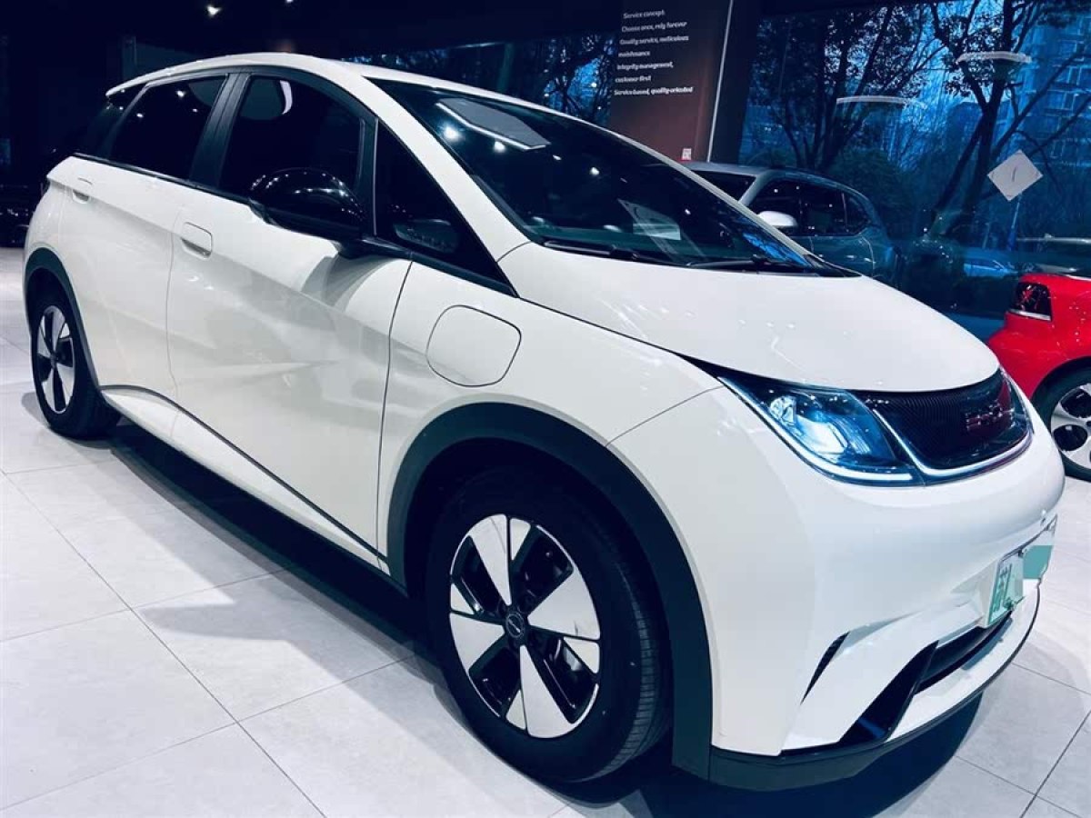 比亞迪 海豚  2023款 420km 自由版圖片