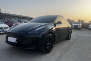 Model Y 特斯拉 后輪驅動版