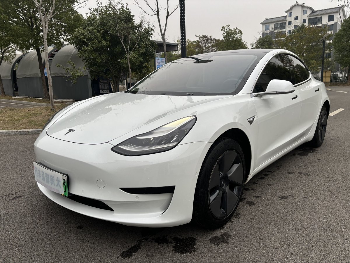 特斯拉 Model 3  2019款 標(biāo)準(zhǔn)續(xù)航后驅(qū)升級(jí)版圖片