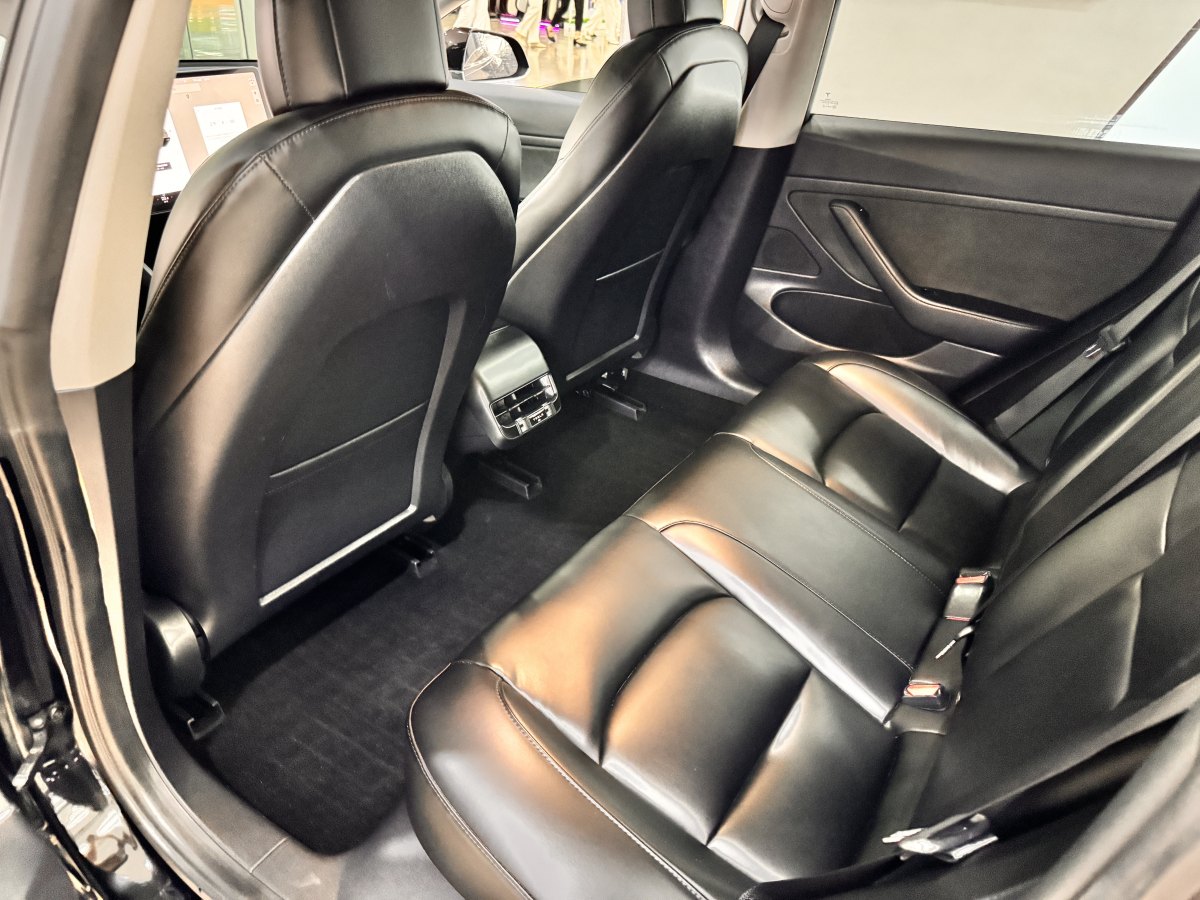 特斯拉 Model 3  2020款 改款 標準續(xù)航后驅(qū)升級版圖片