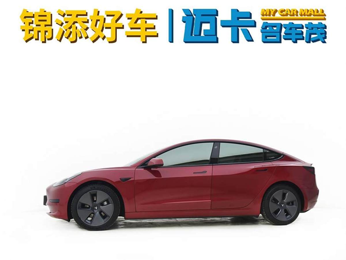 特斯拉 Model 3  2019款 標(biāo)準(zhǔn)續(xù)航后驅(qū)升級(jí)版圖片