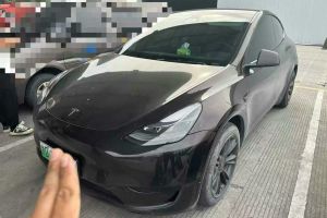 Model Y 特斯拉 Performance高性能全輪驅(qū)動(dòng)版