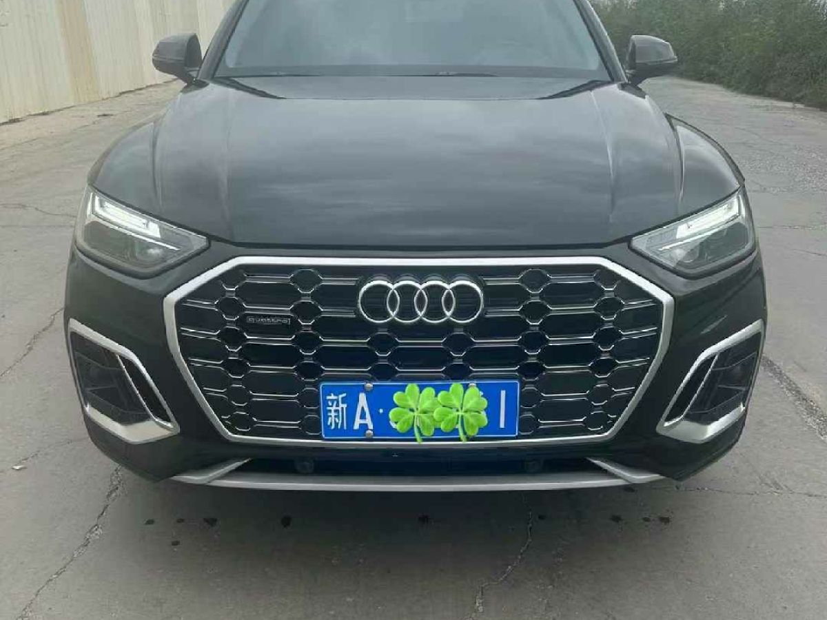 奧迪 Q2L e-tron  2022款 Q2L e-tron 純電智享型圖片