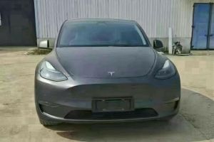 Model 3 特斯拉 Performance高性能全輪驅(qū)動版