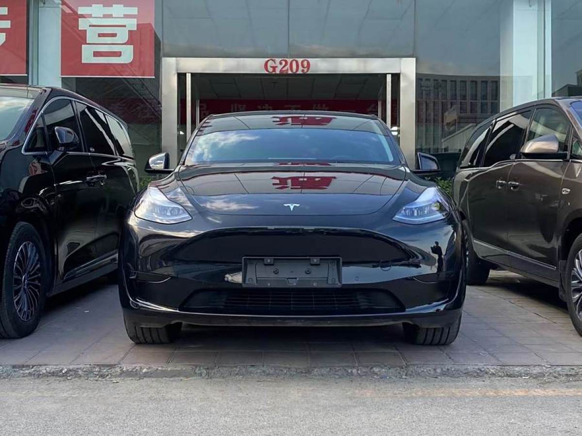 特斯拉 Model Y  2020款 改款 長(zhǎng)續(xù)航后輪驅(qū)動(dòng)版圖片