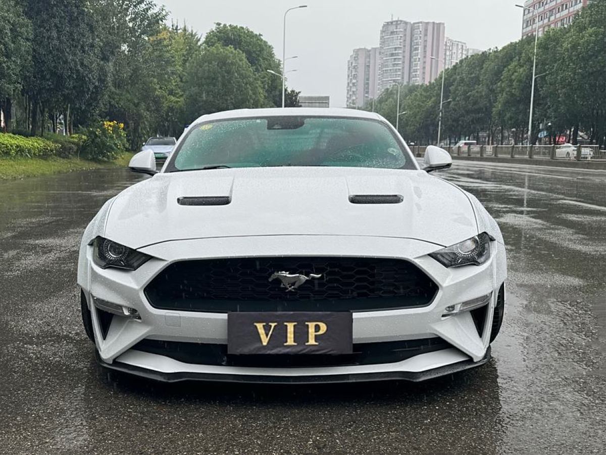 福特 Mustang  2018款 2.3L EcoBoost圖片