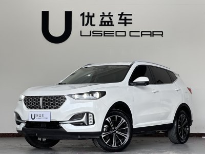 2020年11月 WEY VV6 2.0T 兩驅智享+圖片