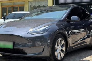 Model Y 特斯拉 標(biāo)準(zhǔn)續(xù)航后驅(qū)版