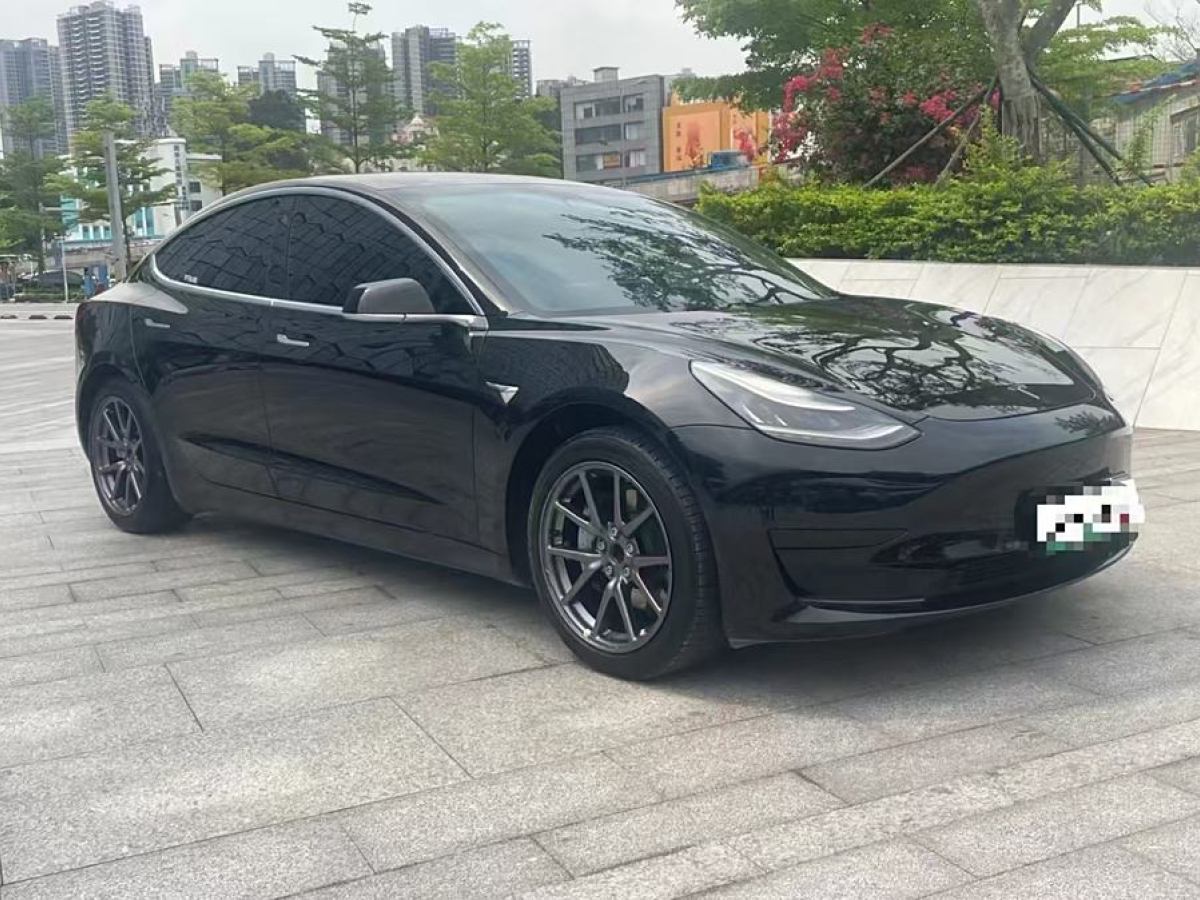 特斯拉 Model 3  2020款 改款 標(biāo)準(zhǔn)續(xù)航后驅(qū)升級(jí)版圖片