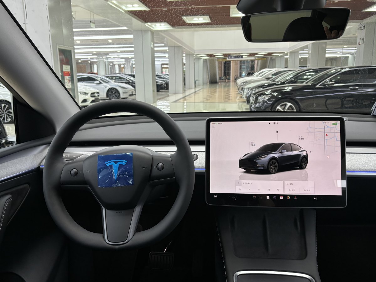 特斯拉 Model Y  2020款 改款 長續(xù)航后輪驅(qū)動版圖片