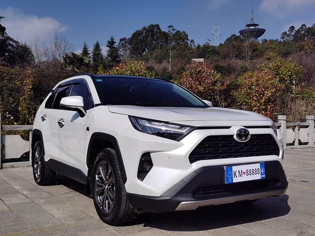 豐田 RAV4榮放  2023款 2.0L CVT兩驅(qū)20周年鉑金紀(jì)念版圖片