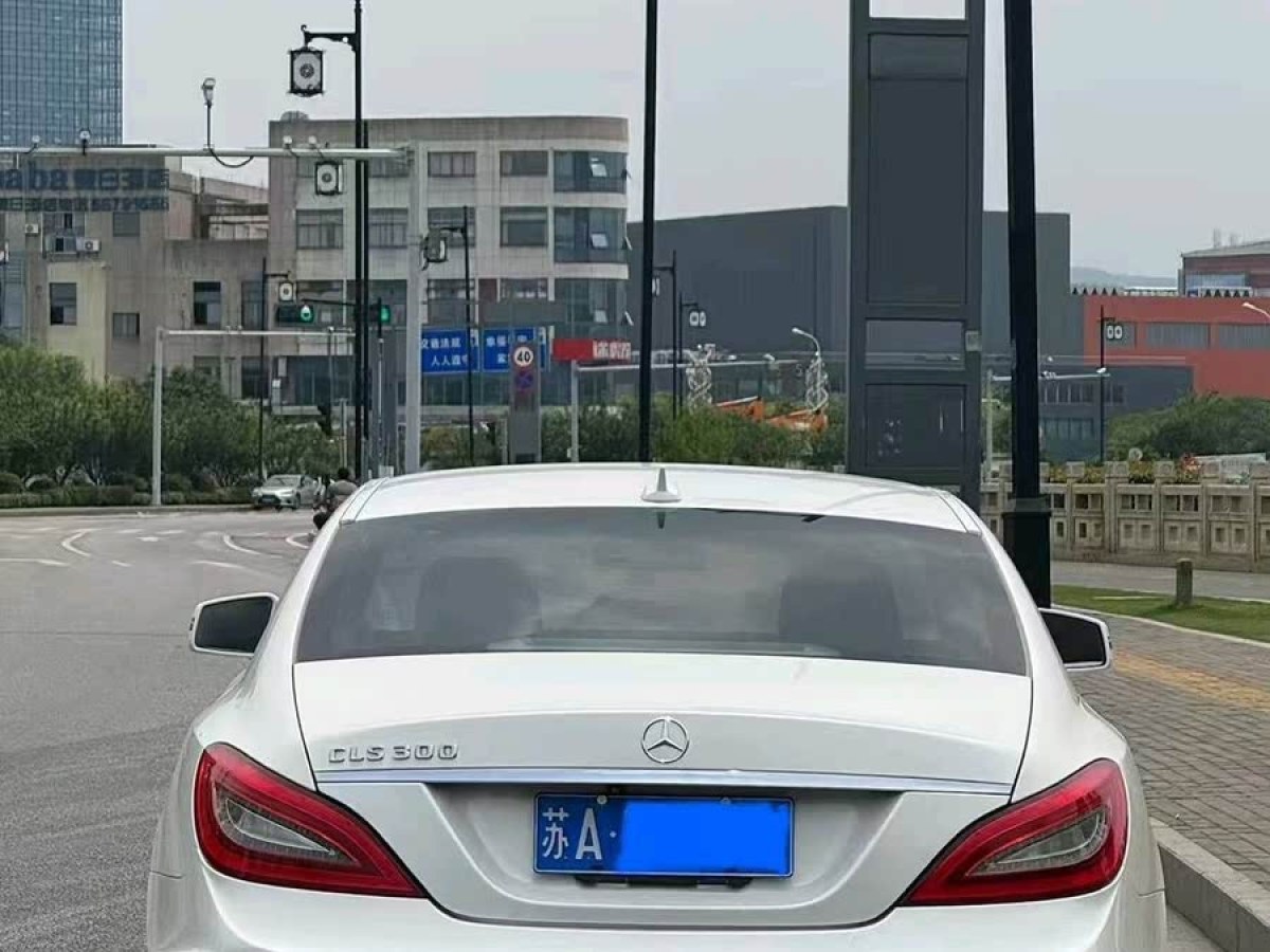 奔馳 奔馳CLS級  2012款 CLS 300 CGI圖片