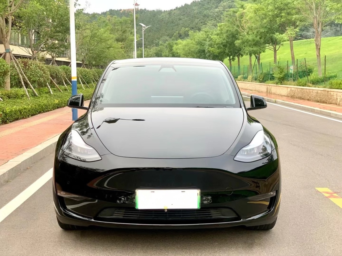 特斯拉 Model Y  2021款 標(biāo)準(zhǔn)續(xù)航后驅(qū)版圖片