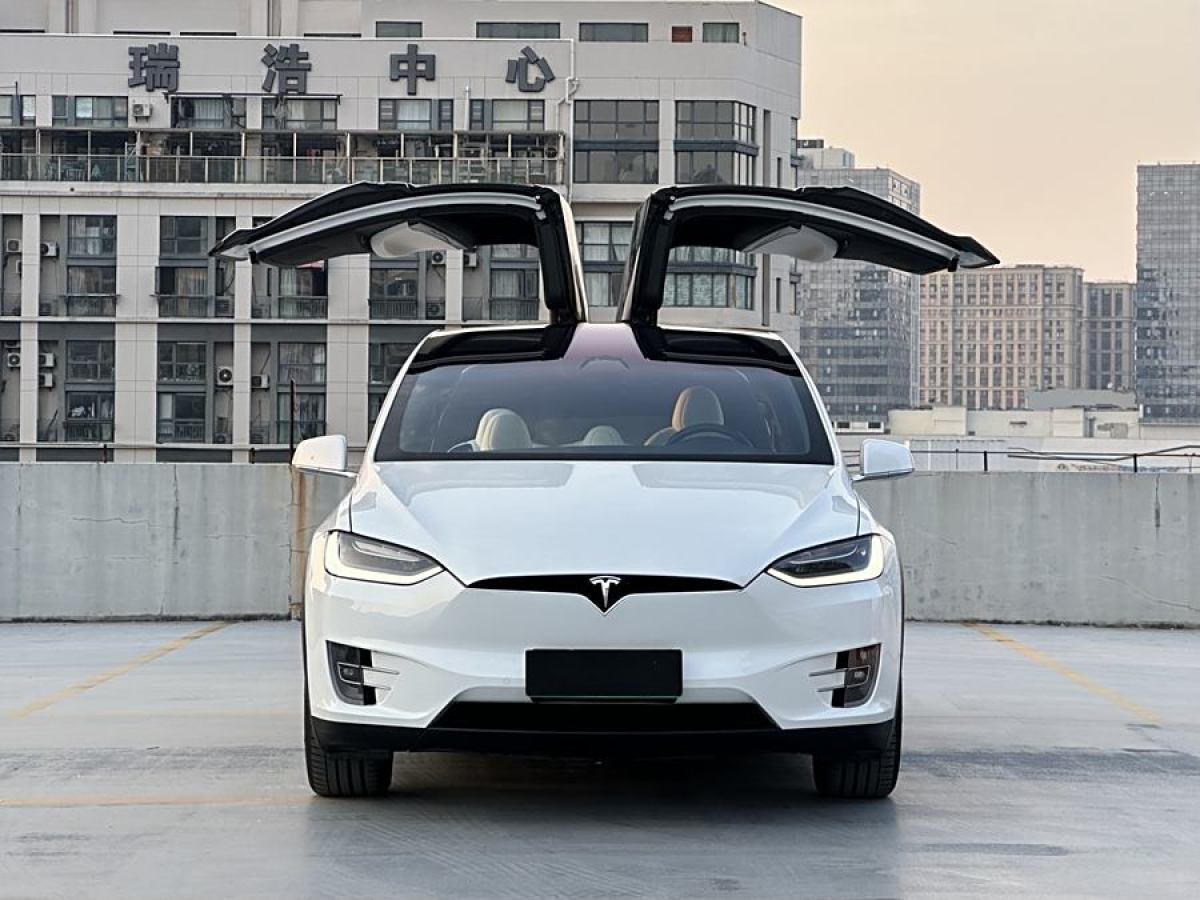 特斯拉 Model X  2019款 Performance 高性能版圖片