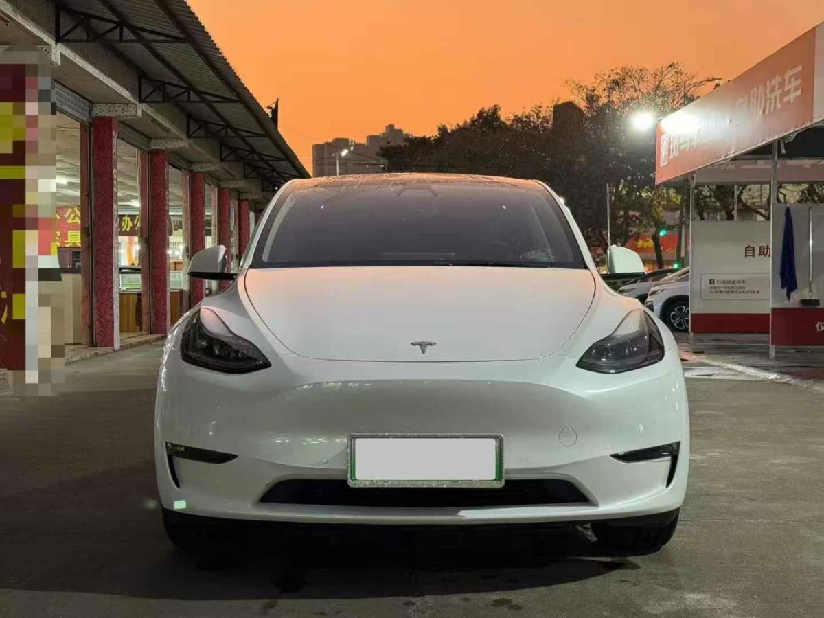 特斯拉 Model Y  2021款 標(biāo)準(zhǔn)續(xù)航后驅(qū)版圖片