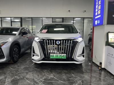 腾势 腾势D9 EV 600 四驱旗舰型图片