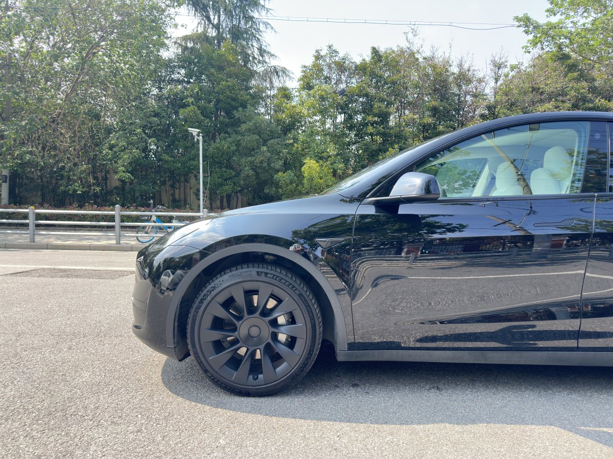 特斯拉 Model Y  2020款 改款 長續(xù)航后輪驅(qū)動版圖片