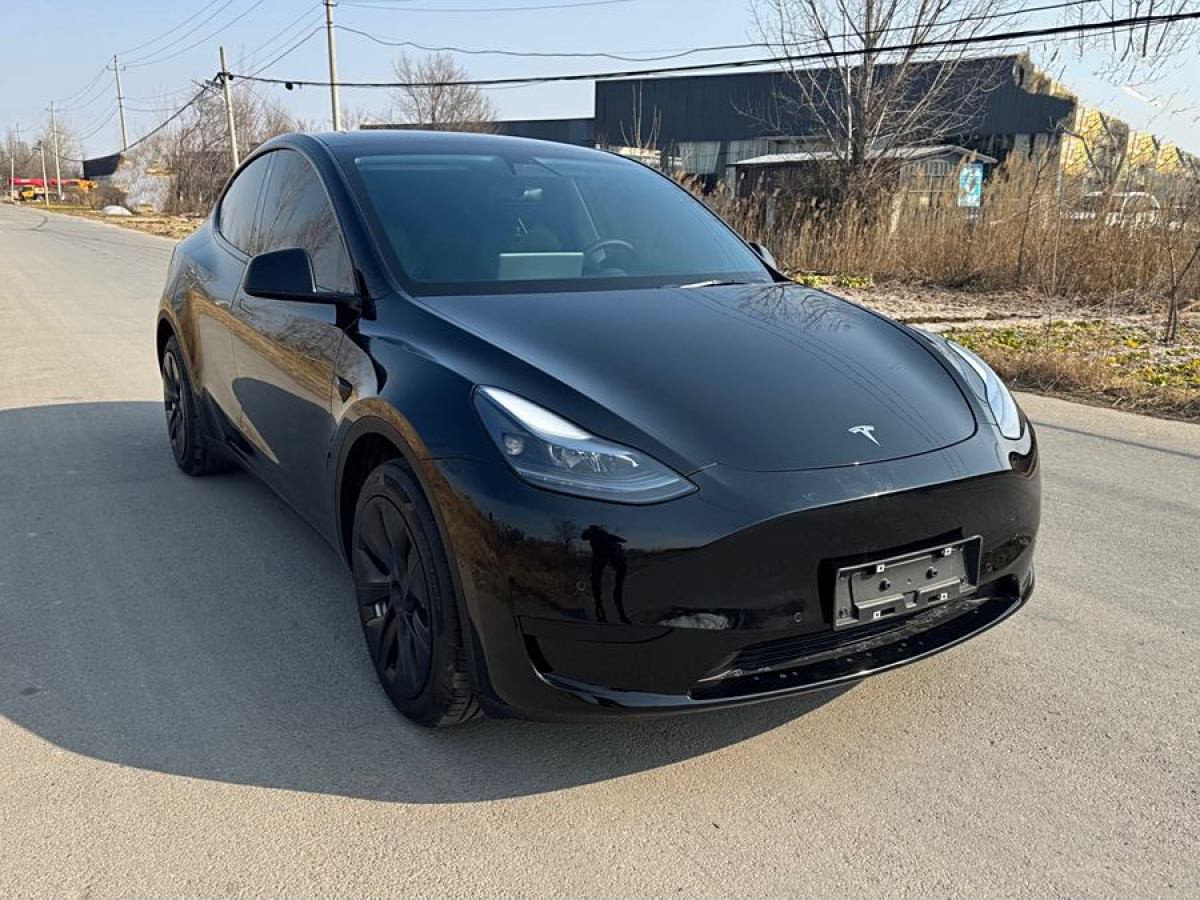 特斯拉 Model 3  2020款 改款 長續(xù)航后輪驅(qū)動版圖片