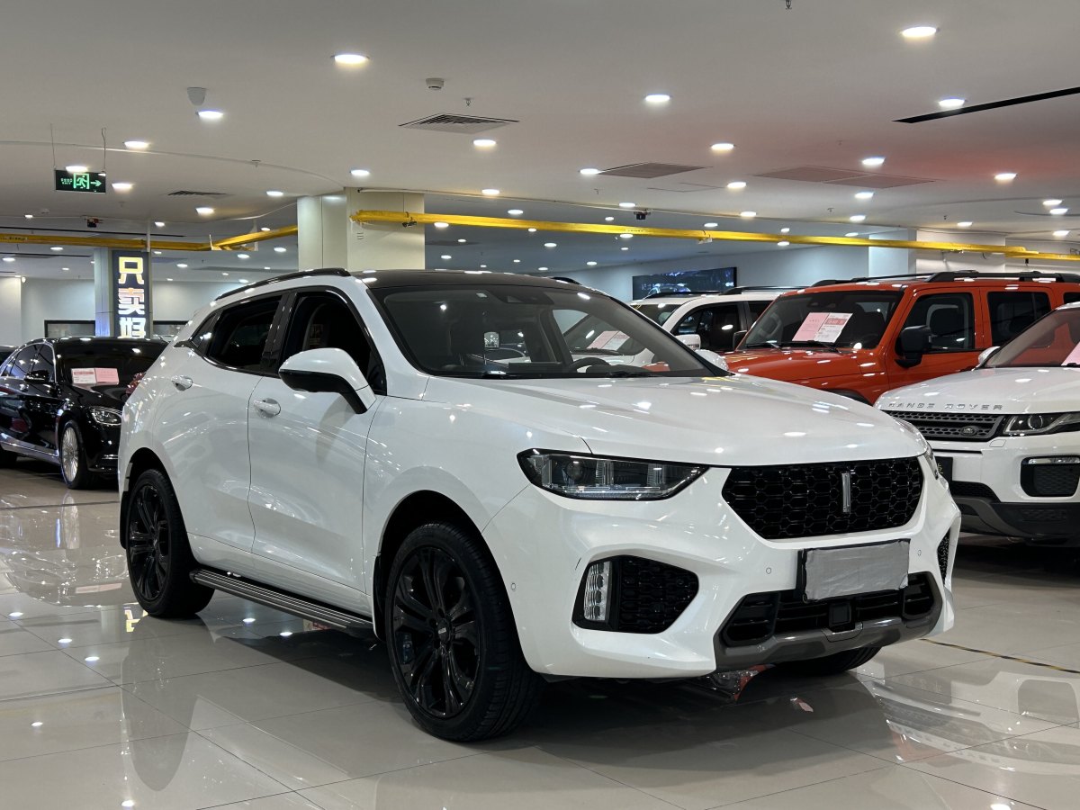 WEY VV5 2019 upgraded 2.0T two-drive flagship model图片