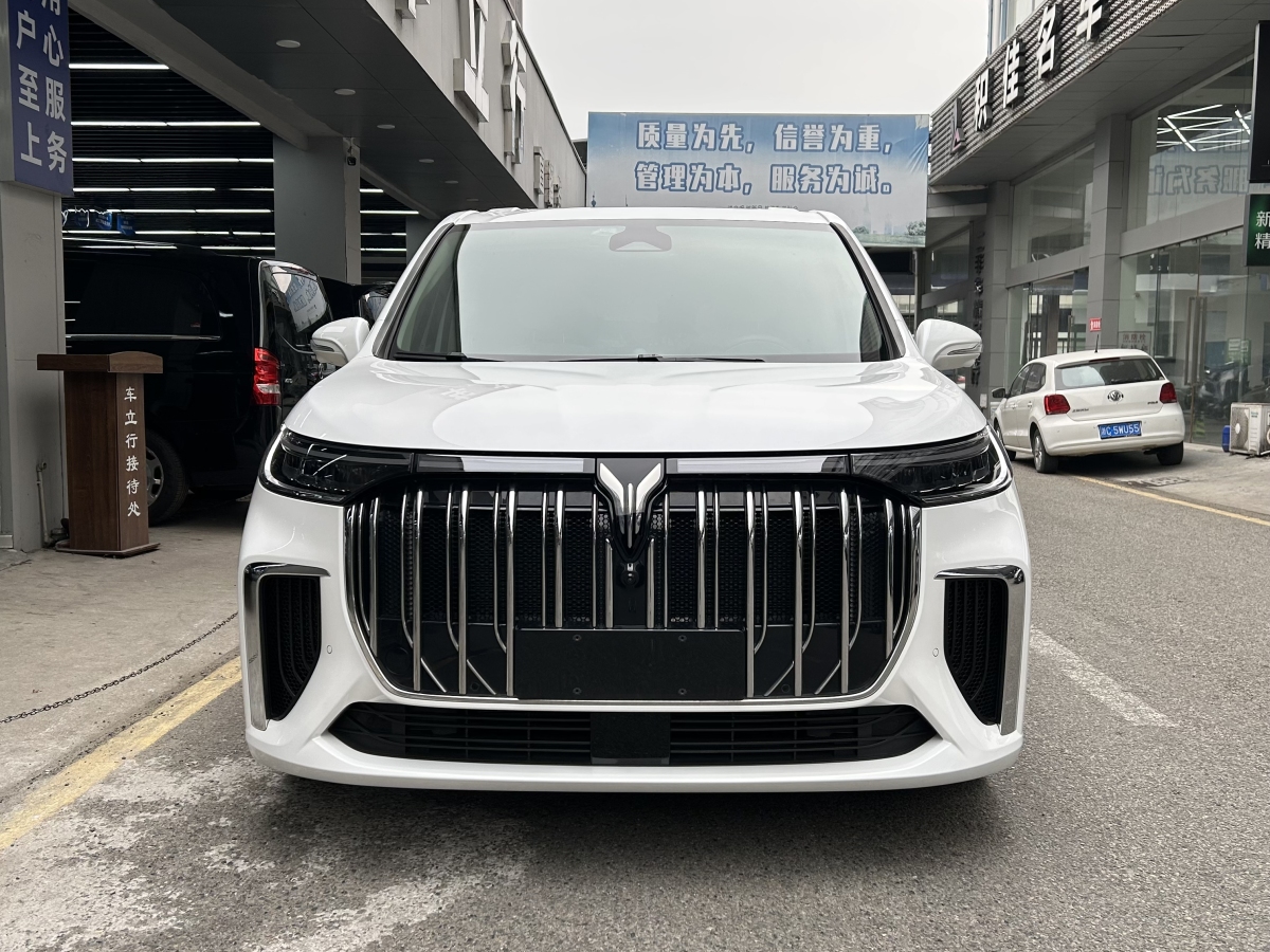 嵐圖 夢想家  2024款 PHEV 超長續(xù)航尊貴版圖片