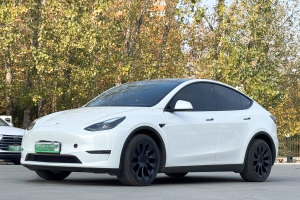 Model 3 特斯拉 长续航焕新版 双电机全轮驱动