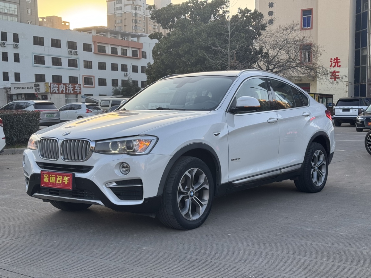 寶馬 寶馬X4  2014款 xDrive20i X設(shè)計(jì)套裝圖片