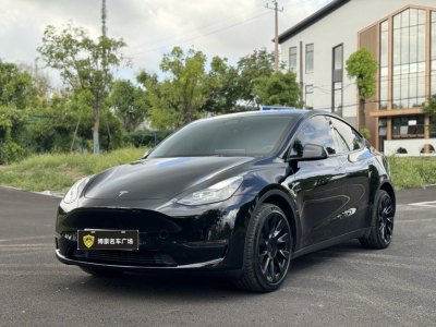 2022年2月 特斯拉 Model Y 长续航焕新版 双电机全轮驱动图片