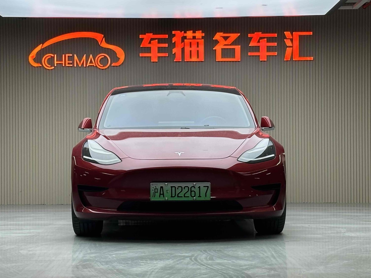 特斯拉 Model 3  2019款 標(biāo)準(zhǔn)續(xù)航后驅(qū)升級(jí)版圖片