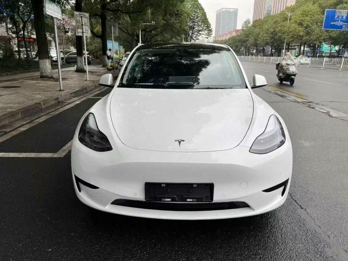 2022年1月特斯拉 Model 3  2022款 Performance高性能全輪驅(qū)動版