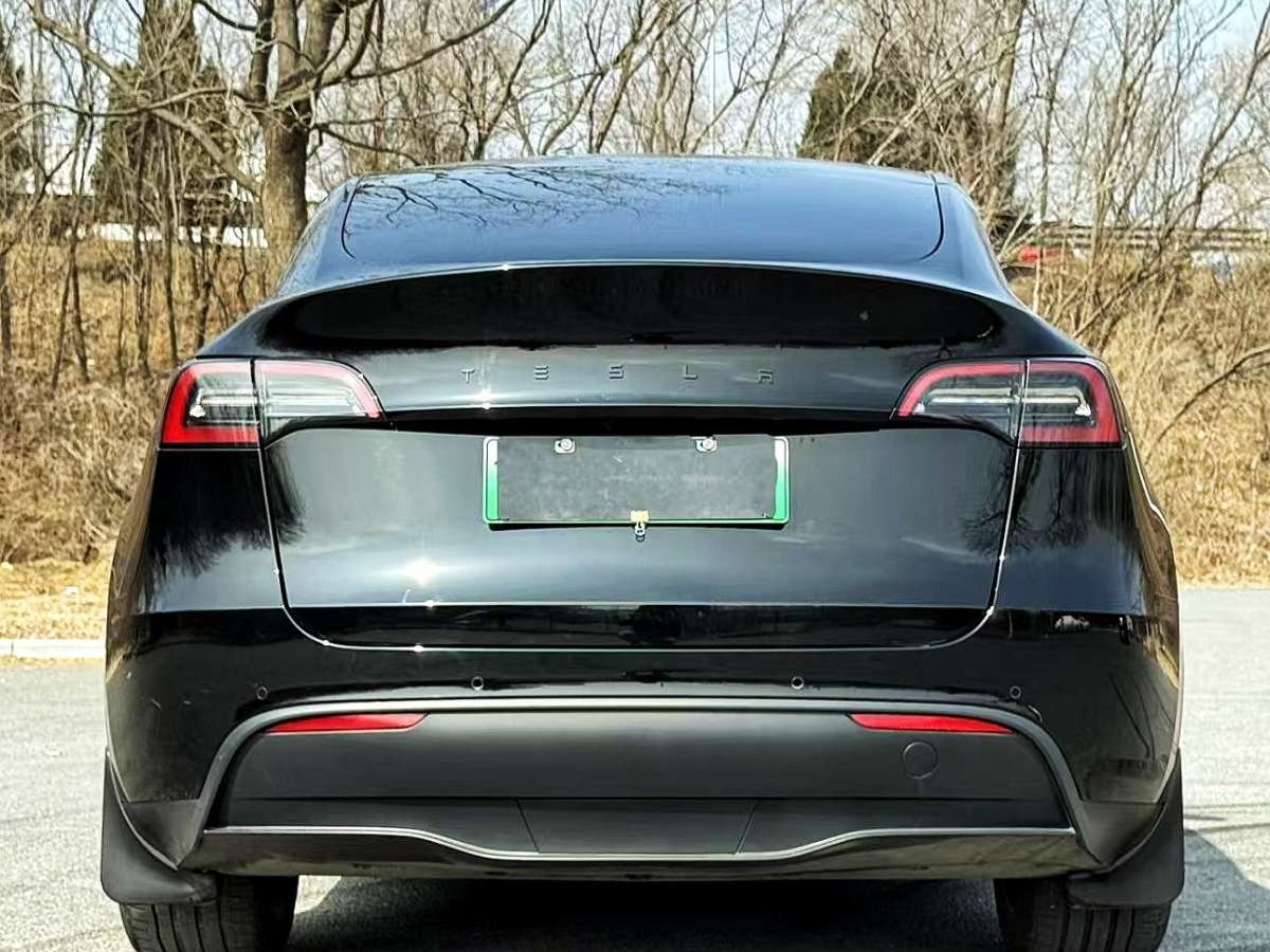 特斯拉 Model Y  2022款 長續(xù)航全輪驅(qū)動(dòng)版圖片