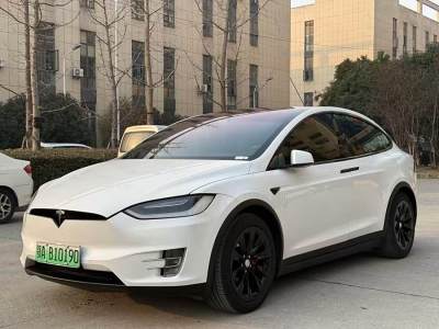 2019年1月 特斯拉 Model X Model X 100D 長續(xù)航版圖片