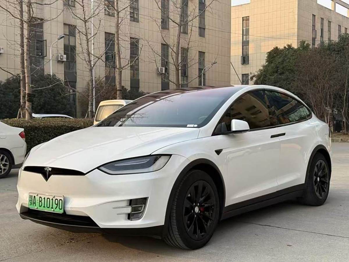 2019年1月特斯拉 Model X  2017款 Model X 100D 長(zhǎng)續(xù)航版