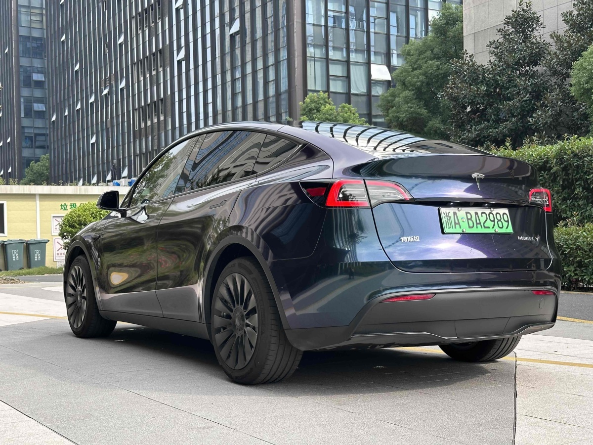 特斯拉 Model Y  2020款 改款 長(zhǎng)續(xù)航后輪驅(qū)動(dòng)版圖片