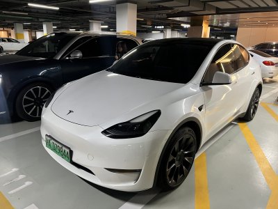 2021年5月 特斯拉 Model 3 長續(xù)航全輪驅(qū)動版 3D7圖片