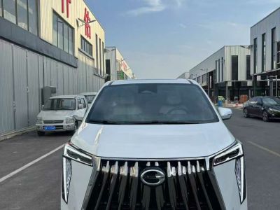 2023年1月 奔馳 禮驪汽車V級(jí) 醒獅系列 2.0T 琥 7座圖片