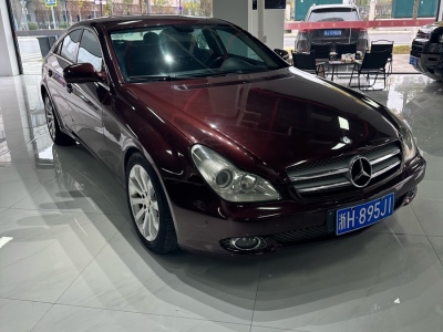 2010年08月 奔馳 奔馳CLS級(進口) CLS 300圖片