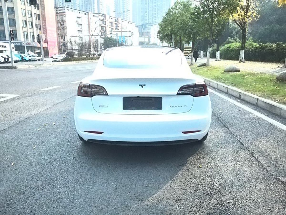 特斯拉 Model 3  2020款 改款 標準續(xù)航后驅(qū)升級版圖片