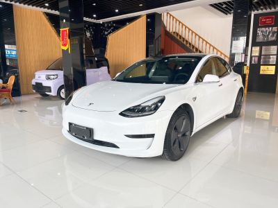 2019年12月 特斯拉 Model 3 標(biāo)準(zhǔn)續(xù)航后驅(qū)升級(jí)版圖片