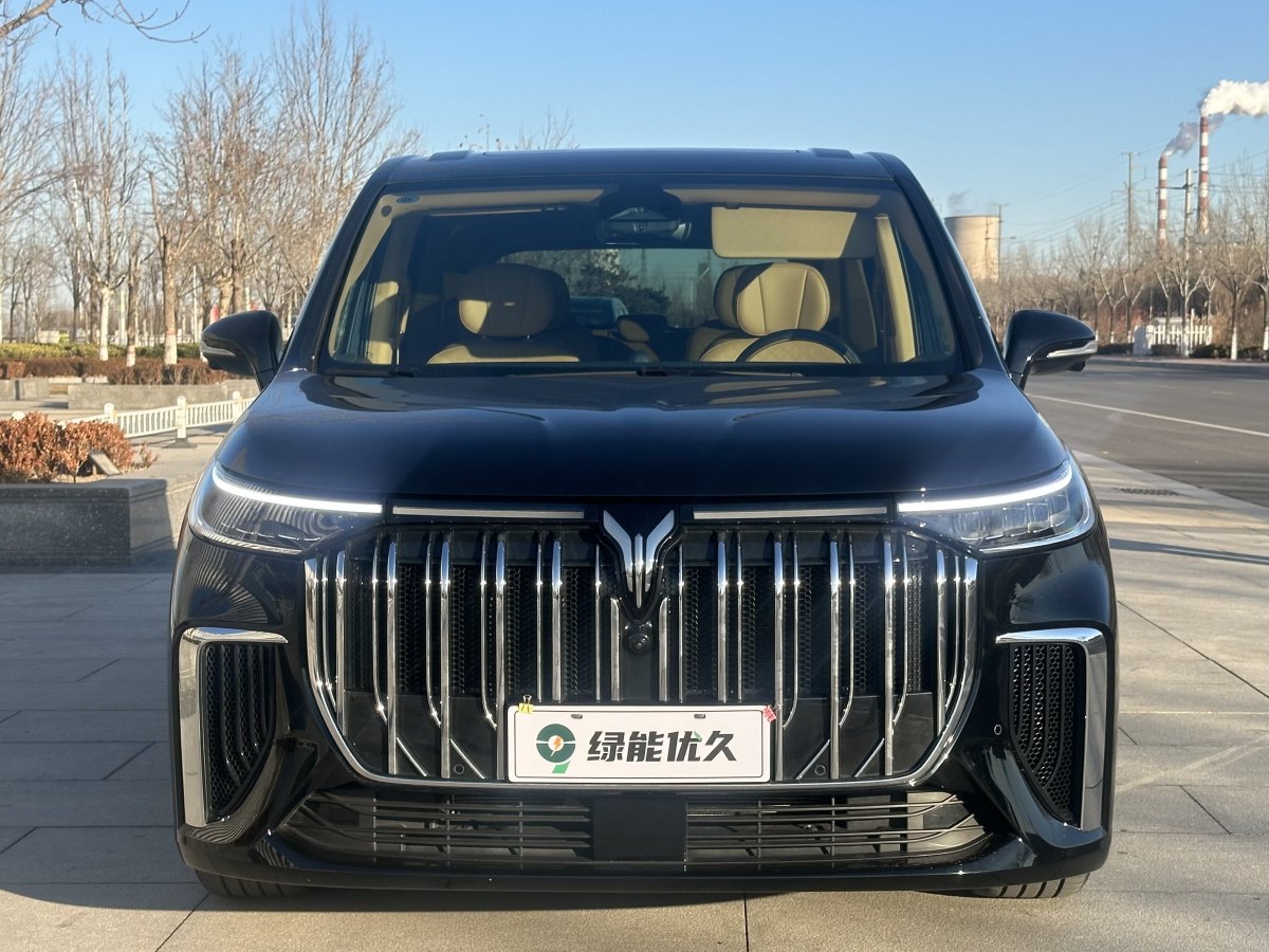 嵐圖 夢想家  2024款 PHEV 超長續(xù)航尊貴版圖片