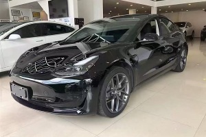 Model 3 特斯拉 改款 標(biāo)準(zhǔn)續(xù)航后驅(qū)升級版