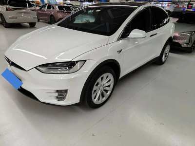 2020年1月 特斯拉 Model X 長(zhǎng)續(xù)航版圖片