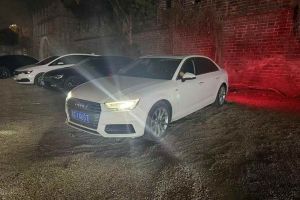 奧迪A4L 奧迪 30周年年型 30 TFSI 進取型