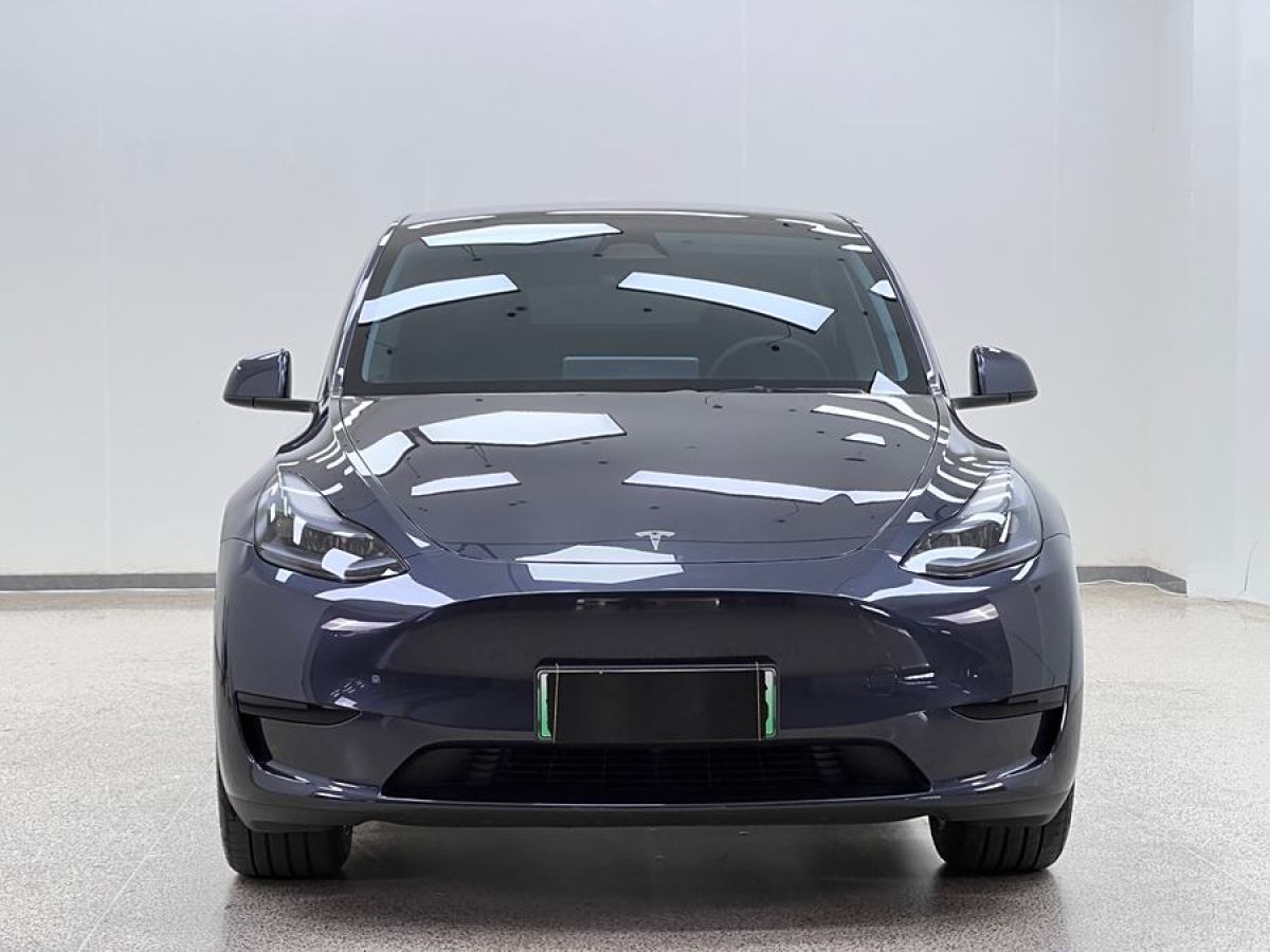 特斯拉 Model Y  2020款 改款 長(zhǎng)續(xù)航后輪驅(qū)動(dòng)版圖片