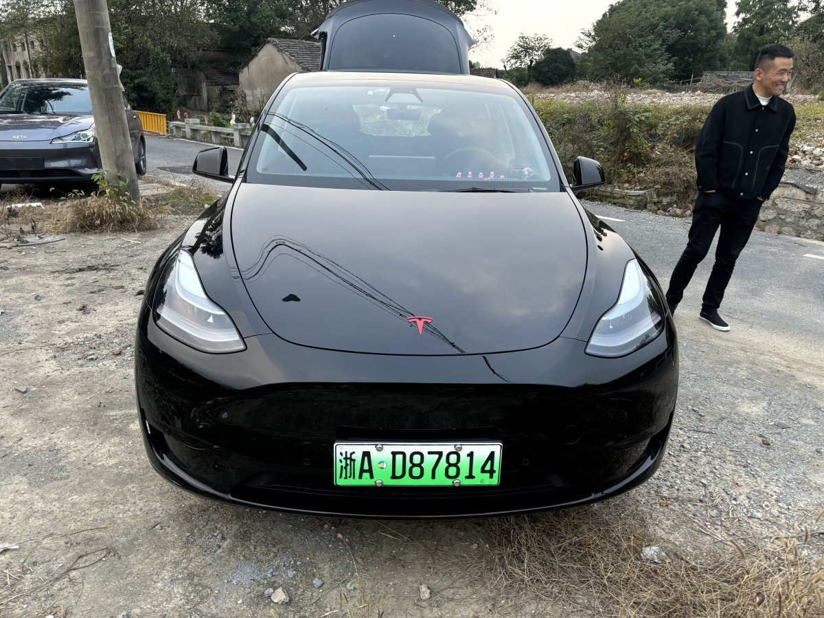 特斯拉 Model 3  2022款 后輪驅(qū)動(dòng)版圖片