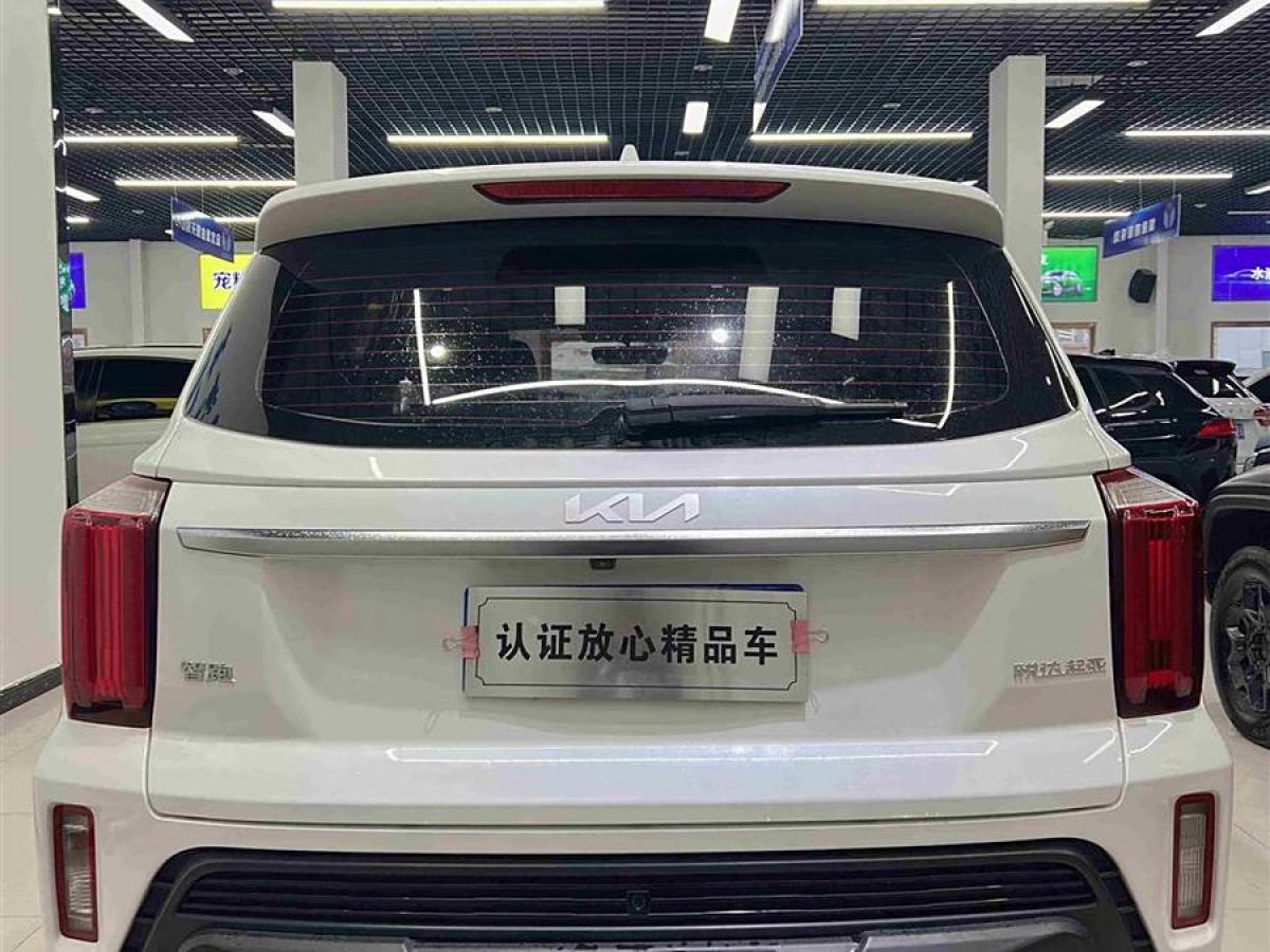 起亞 智跑  2021款 Ace 2.0L 精彩版圖片